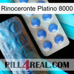 Rhino Platinum 8000